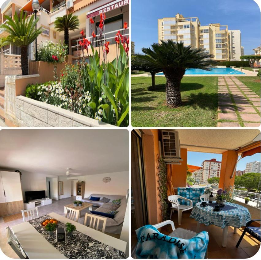 Apartamento Paradise Solo Familias Gandía Kültér fotó