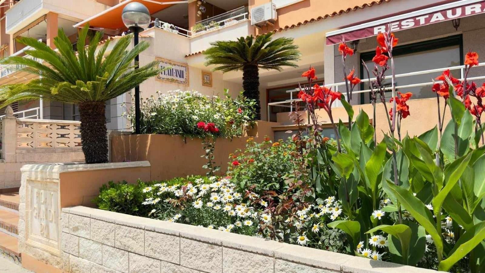 Apartamento Paradise Solo Familias Gandía Kültér fotó